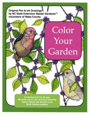 Color Your Garden