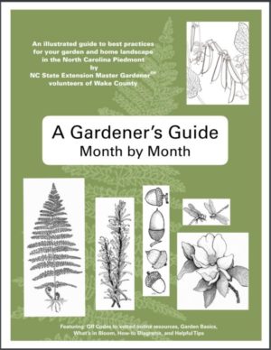 A Gardener's Guide - Month by Month